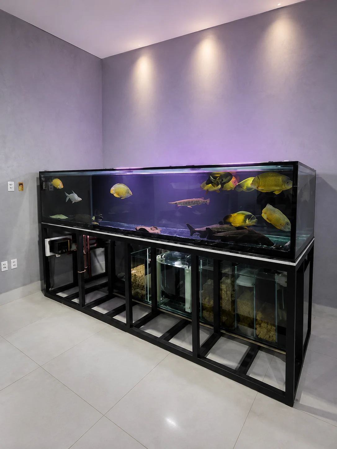 Aquário profissional com estrutura de filtragem